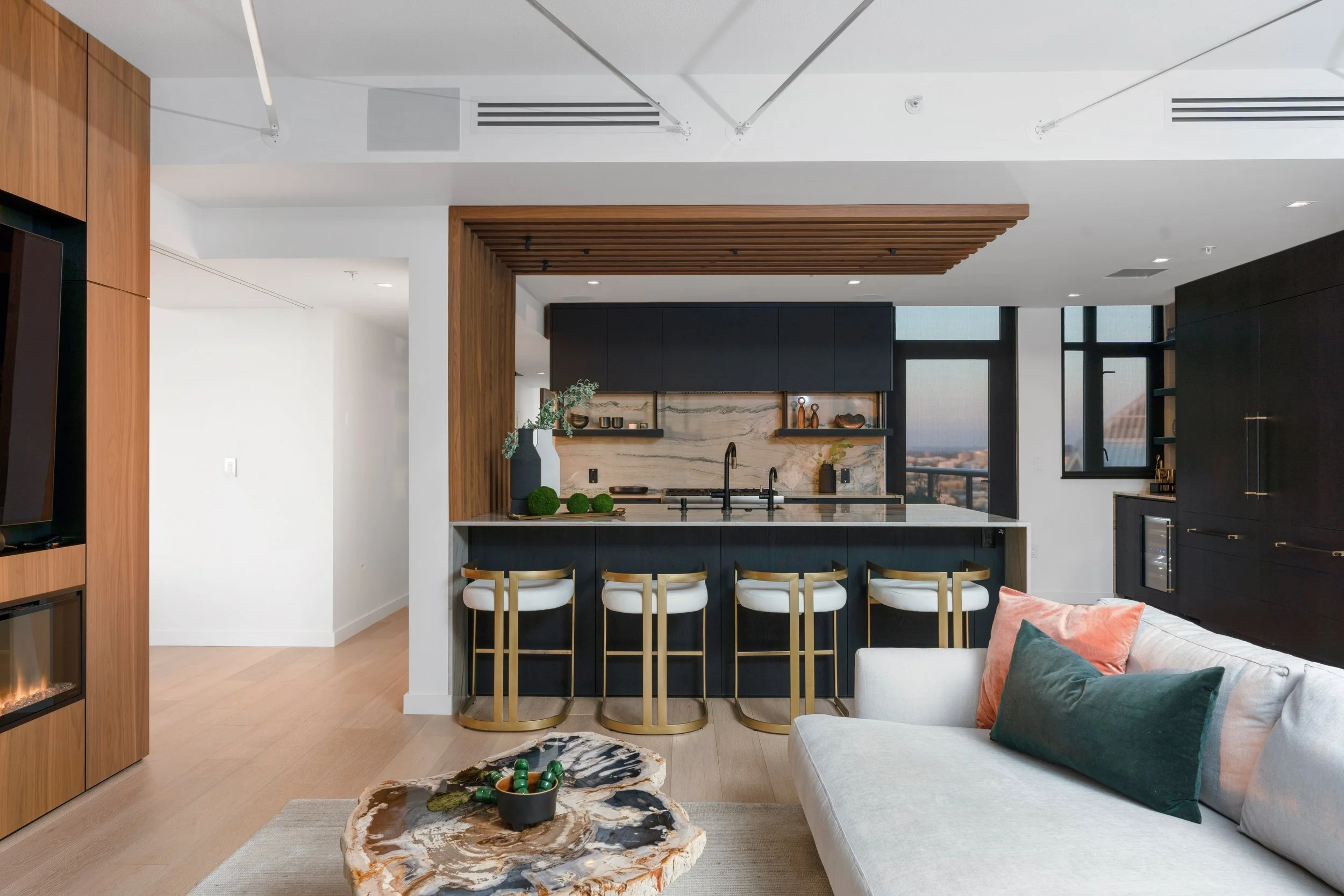 Electra 4303 interior view in San Diego, California by Madelene Ross Design Studio