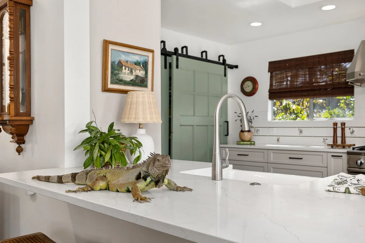 Waverly kitchen in La Jolla, California by Madelene Ross Design Studio